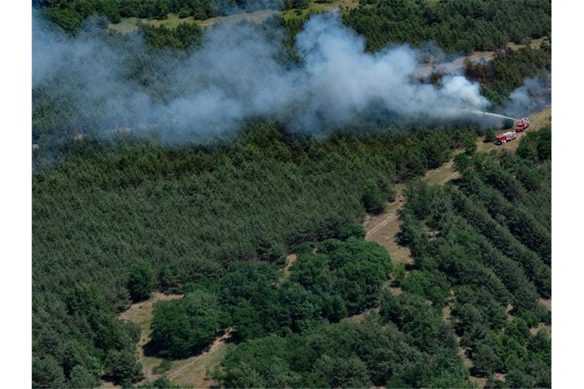 In einem Waldstück bei Jüterbog (Brandenburg) bekämpfen Feuerwehrleute einen Waldbrand. Foto: Paul Zinken/dpa-Zentralbild/dpa