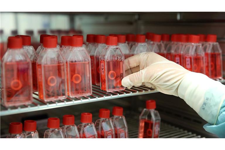 In einer Gewebebank zeigt eine Mitarbeiterin den Brutschrank mit präparierter menschlicher Hornhaut.