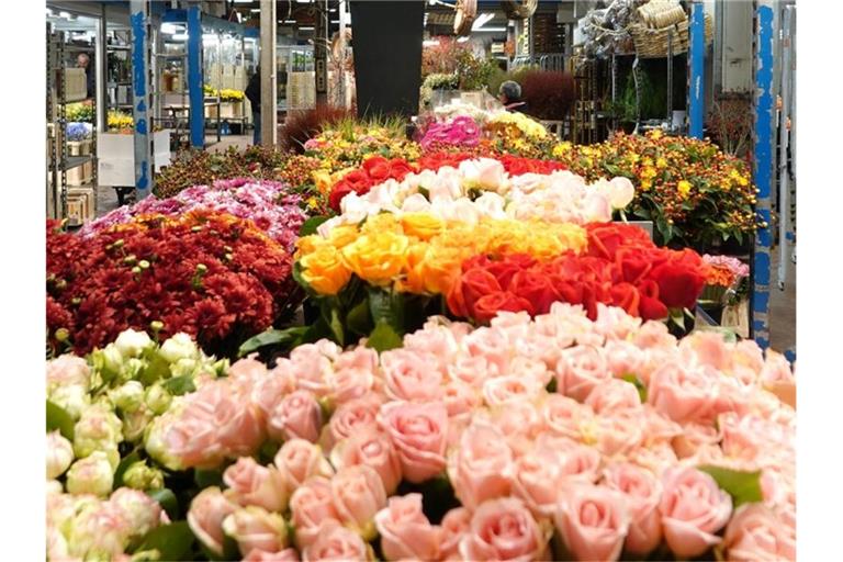 In einer Halle eines Großmarkts stehen Blumen. Foto: Magdalena Tröndle/dpa/Symbolbild