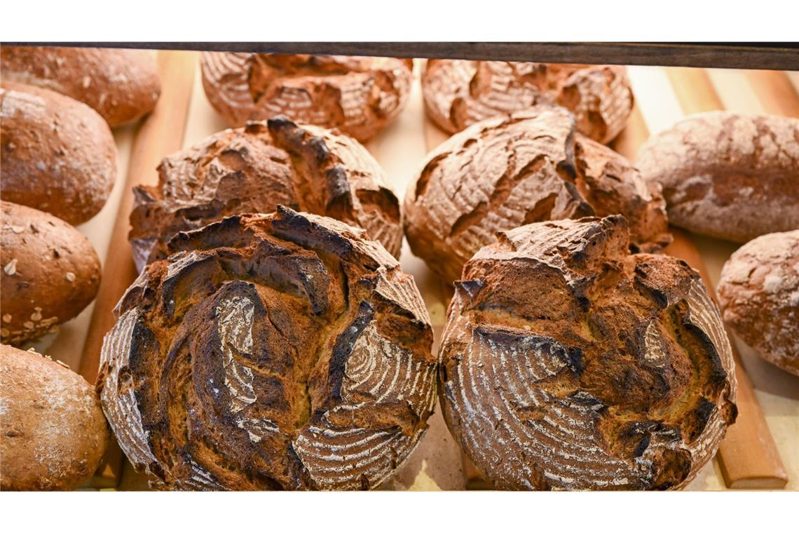 In einer Mannheimer Filiale eines Lebensmitteldiscounters sind im Lager und im Verkaufsraum erhebliche Verunreinigungen mit Mäusedreck festgestellt worden. (Symbolbild)