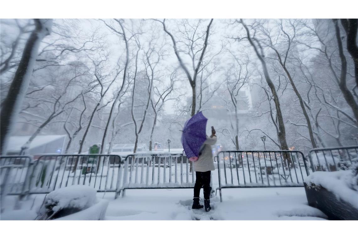 In einigen Parks der Stadt entstanden ganze Armadas von Schneefiguren.