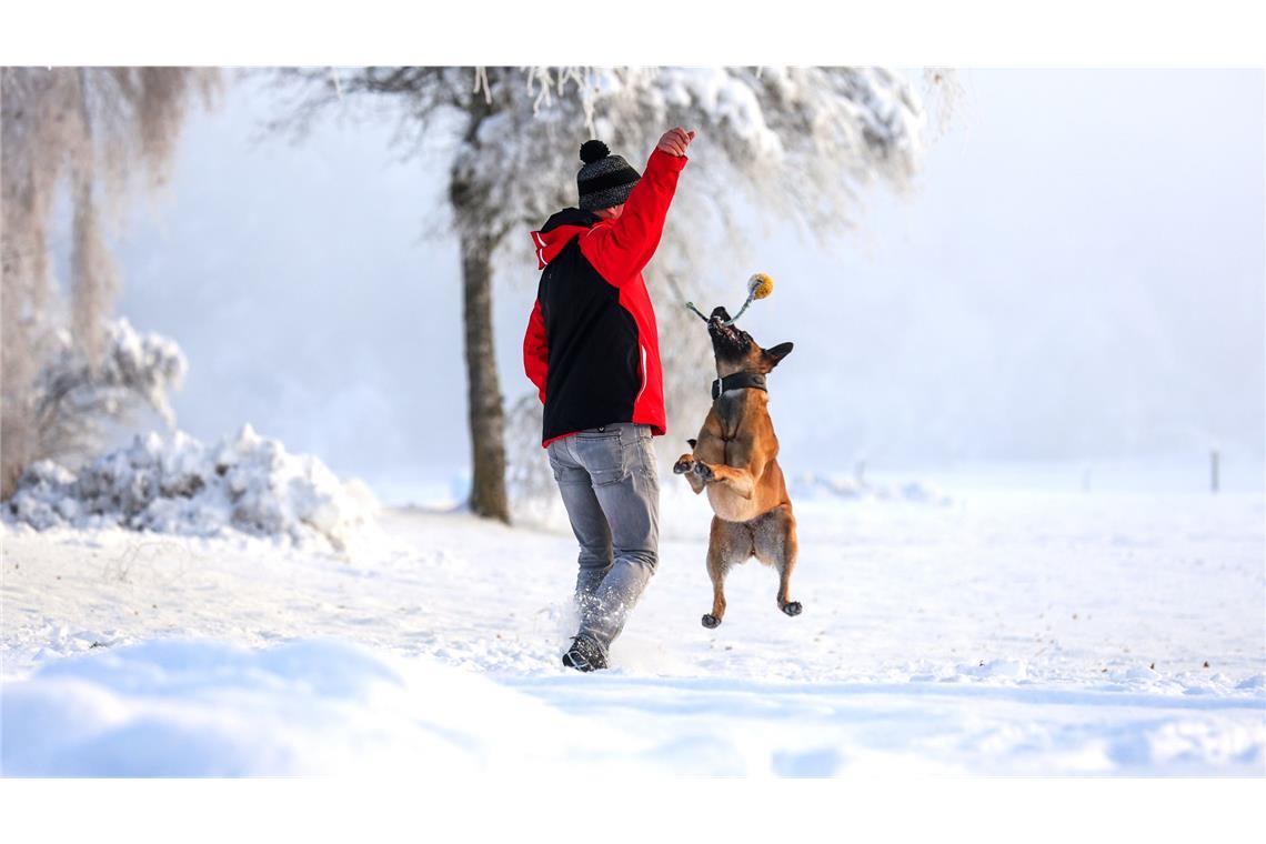 In einigen Teilen Baden-Württembergs soll es schneien (Symbolbild).