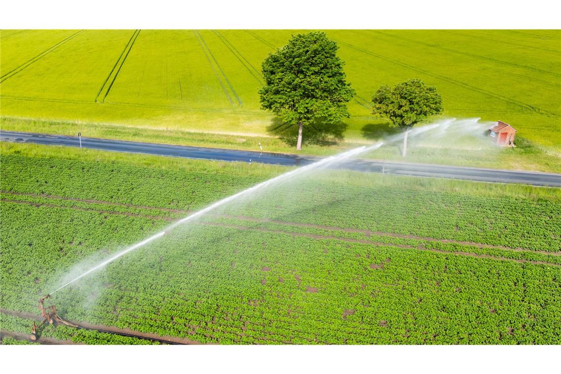 EU-Kommission ruft zum Wassersparen in Europa auf In Europa leiden seit Jahren viele Länder unter zunehmender Wasserknappheit (Symbolbild).