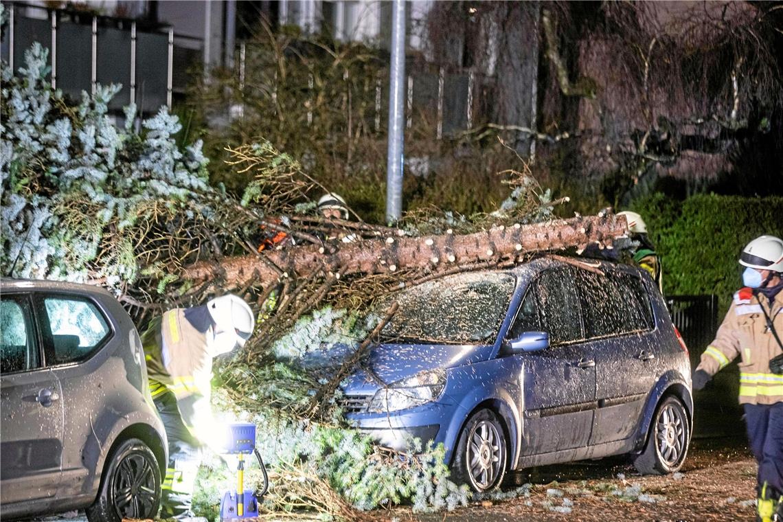 Sturm wütet auch im Kreis In Fellbach wurde ein Auto von einem Baum getroffen. Foto: 7aktuell.de/Simon Adomat