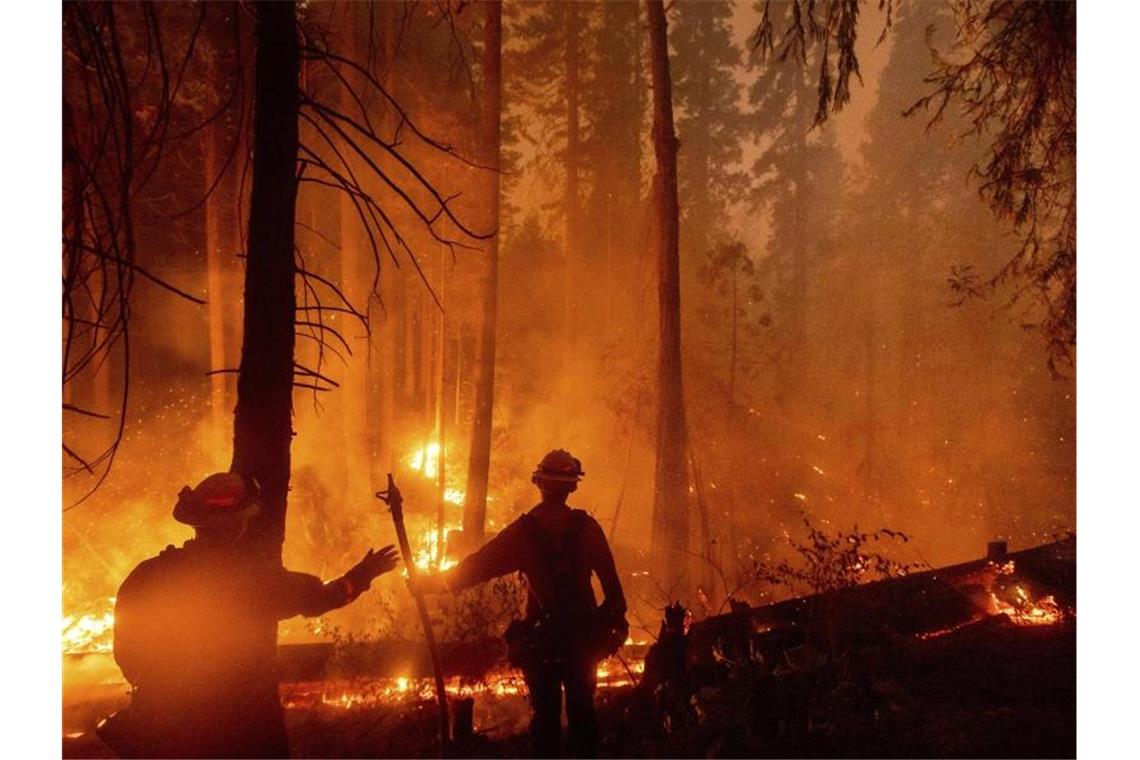 In ganz Kalifornien waren laut Feuerwehr zuletzt mehr als 14.800 Einsatzkräfte damit beschäftigt, 23 größere Brände einzudämmen. Foto: Noah Berger/FR34727 AP/dpa