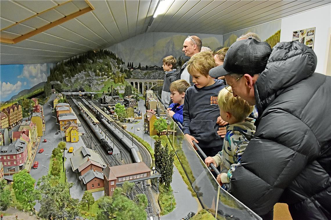 In Heiningen fahren wieder die Modellbahnen. Archivfoto: Tobias Sellmaier