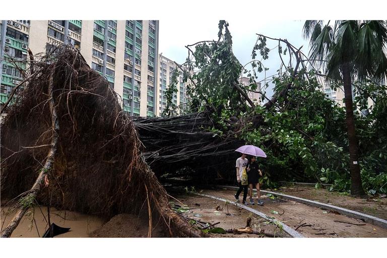 In Hongkong stürzten Hunderte Bäume um.