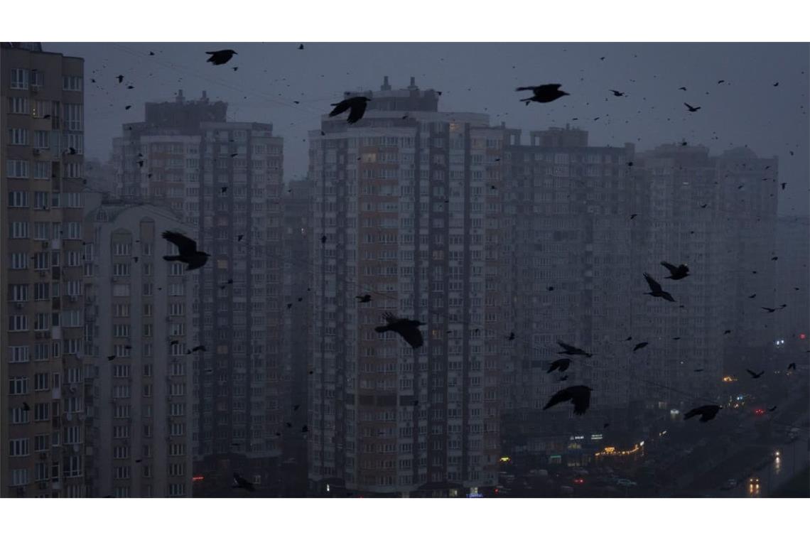 In Kiew fliegen während eines Stromausfalls Krähen durch die Stadt.