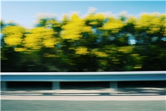 In Kürze sollen die neuen Schutzplanken angebracht werden. Symbolbild: Gonard Fluit auf Unsplash