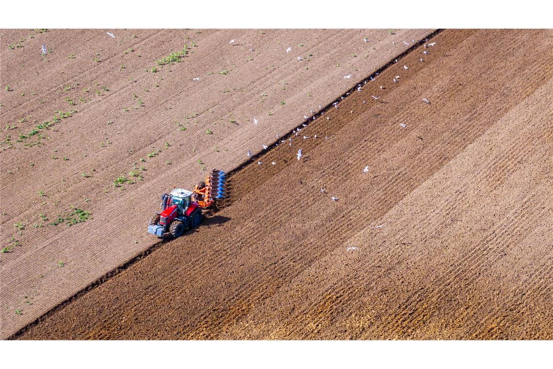 In Medewege zieht ein Traktor einen Pflug über einen Acker und bereitet den Boden für die nächste Aussaat vor.
