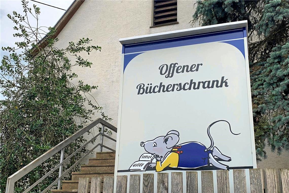 Öffentliche Bücherregale in der Region In Mittelschöntal wurde das Bücherregal von einigen Bürgern kunstvoll gestaltet. Foto: Martina Muck
