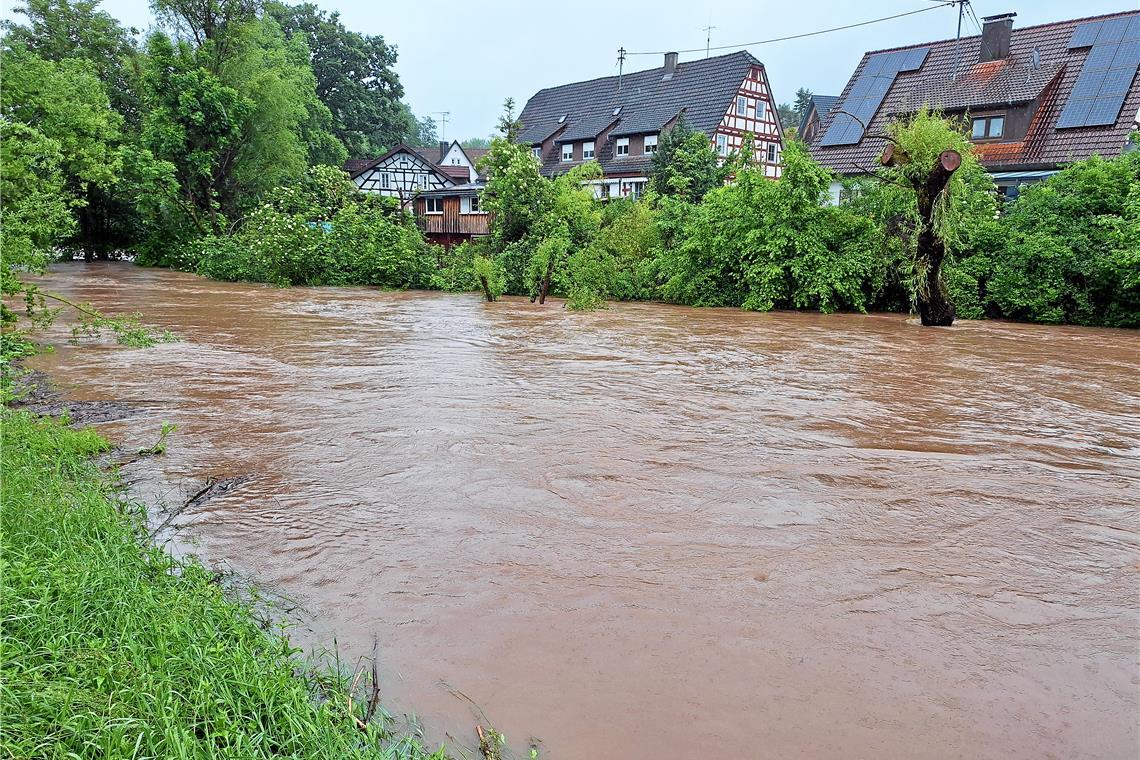 Hochwassergefahr im Rems-Murr-Kreis: So ist die Lage In Oppenweiler-Zell kommt die Murr bedrohlich nahe an die Bebauung heran. Foto: privat