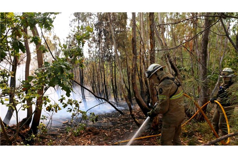 In Portugal gibt es eine leichte Entspannung bei den schweren Waldbränden. Noch aber sind rund 1.400 Feuerwehrleute im Einsatz.