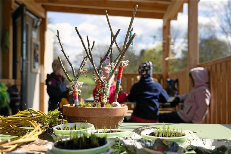 In Schälchen wächst das Ostergras. Die Kinder im Naturkindergarten Erbstetten haben Nester als Gefäße dafür selbst gebastelt. Foto: Alexander Becher