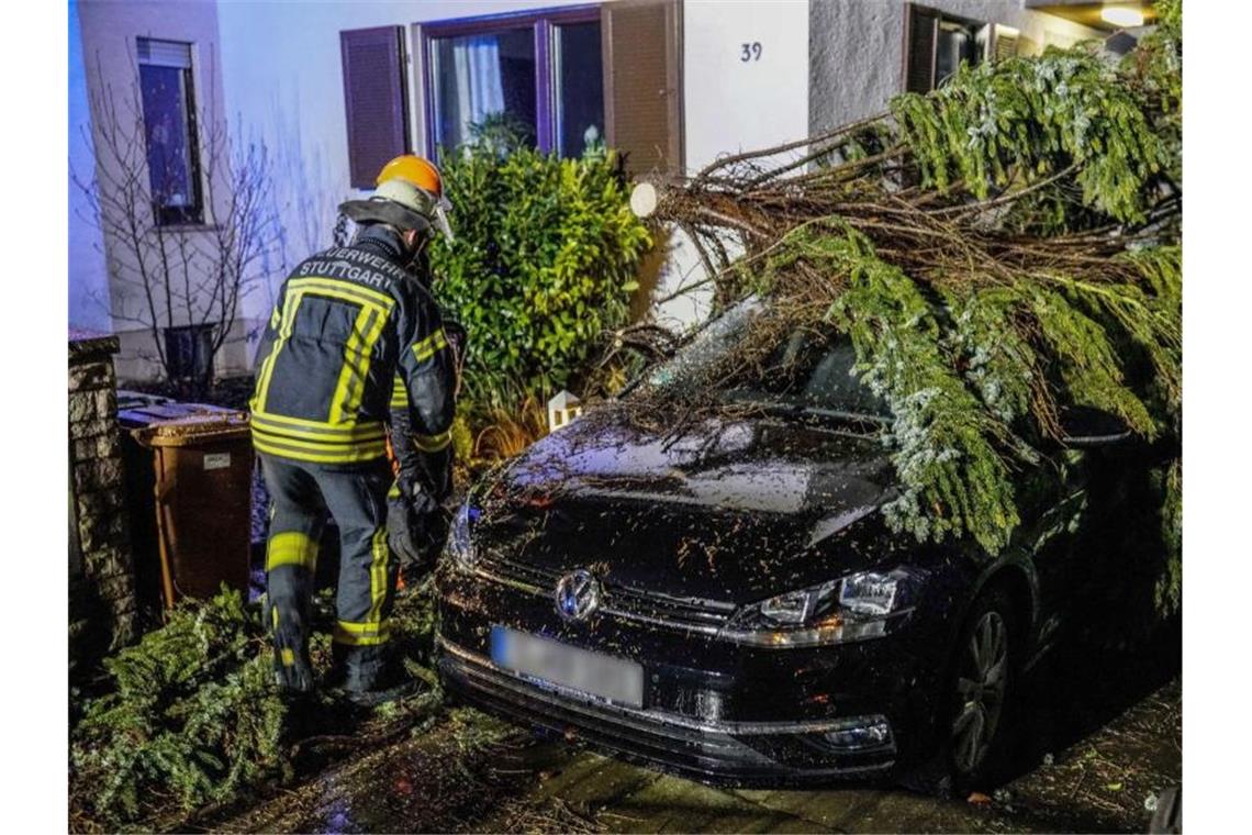 In Stuttgart hat ein umgestürzter Baum ein Auto getroffen. Foto: Sven Kohls/SDMG/dpa