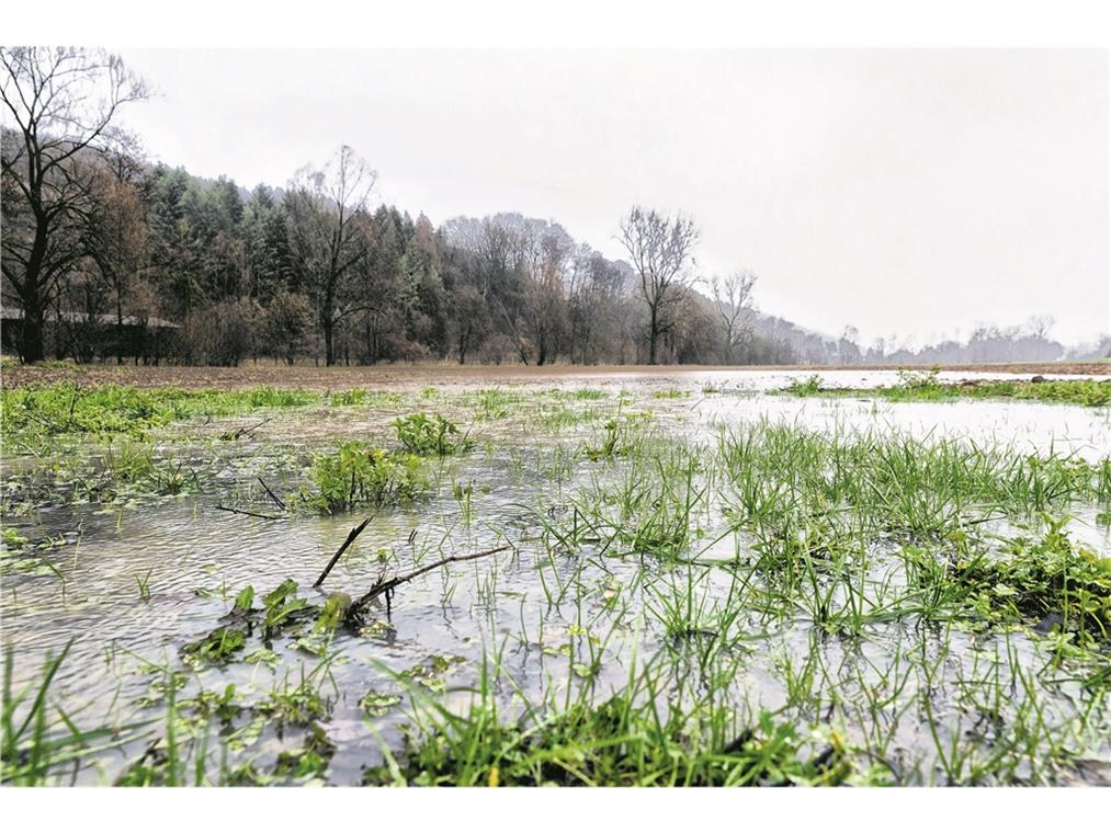Kaum Probleme durch Hochwasser