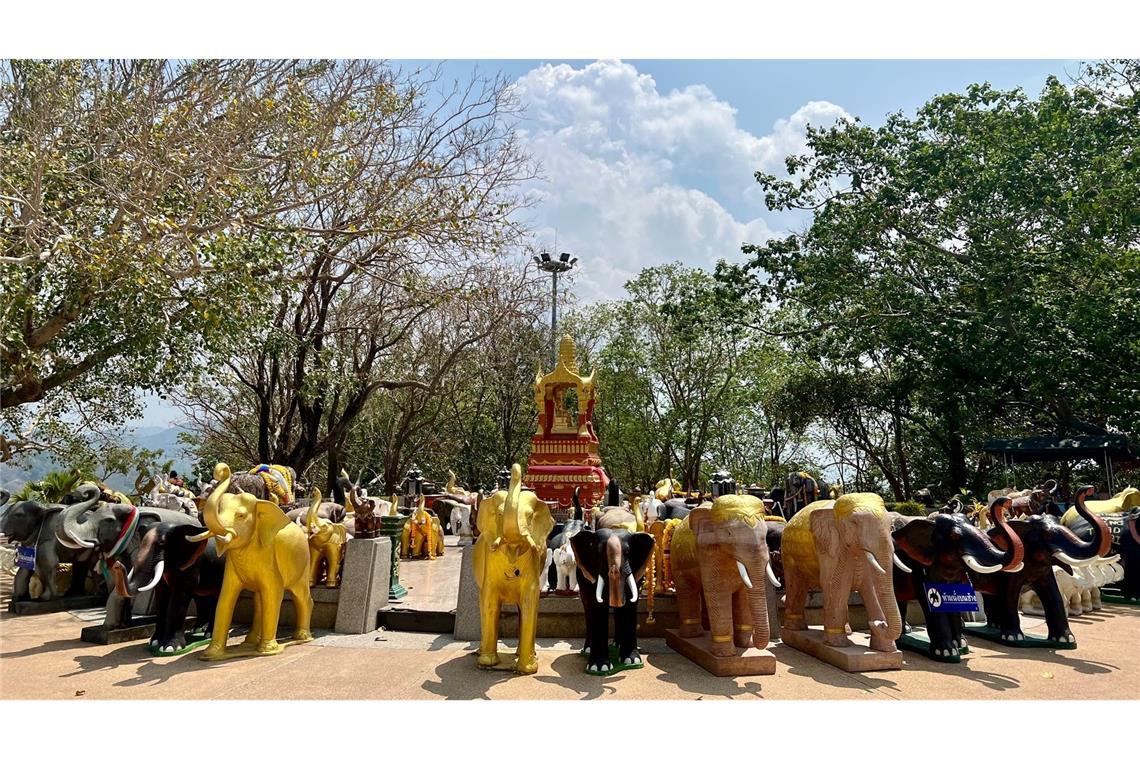 In Thailand werden Elefanten tief verehrt, auch in vielen Tempeln. (Archivbild)