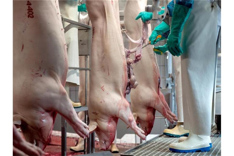 In verschiedenen Schlachtbetrieben hat sich eine hohe Zahl von Mitarbeitern mit dem Coronavirus infiziert. Foto: Ingo Wagner/dpa