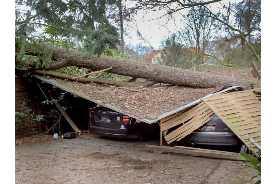 In Viersen am Niederrhein ist ein Baum auf Autostellplätze gestürzt. Foto: Daniel Grotjans/dpa