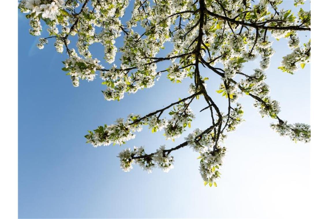 In weiten Teilen des Landes sollen die Osterfeiertage sonnig und warm werden. Foto: Silas Stein/dpa