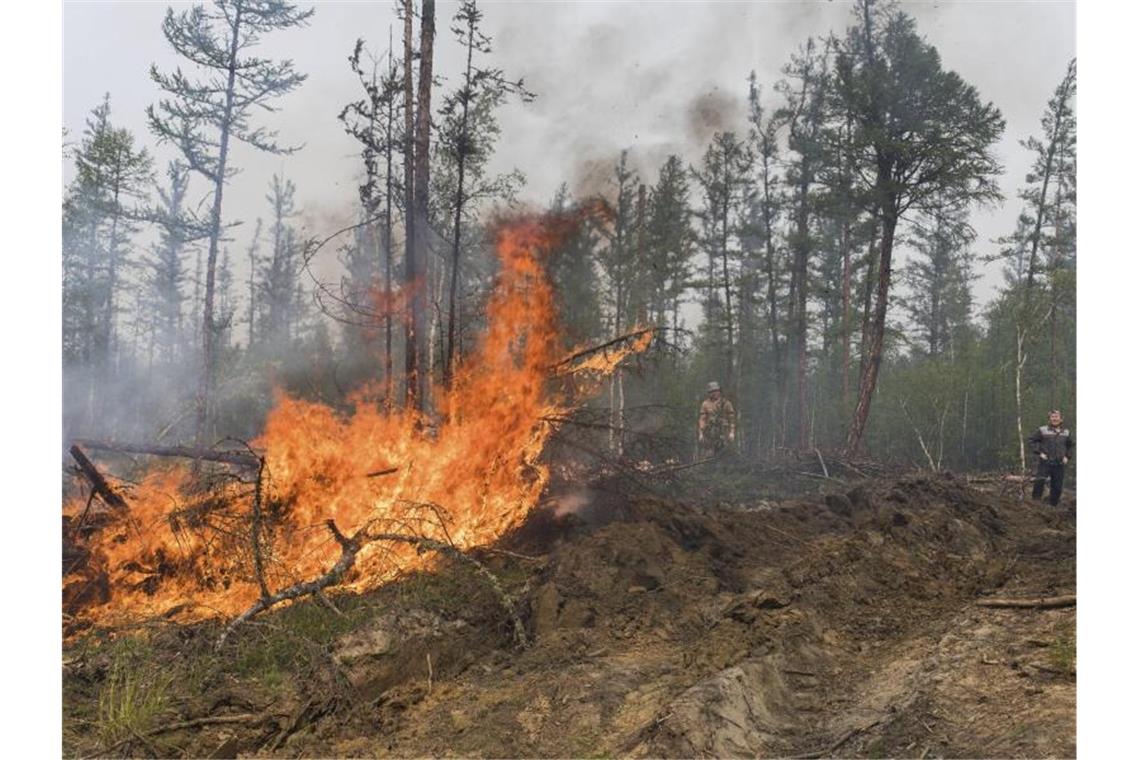 Waldbrände in Russland - Nur Regen kann helfen In weiten Teilen Russlands kommt es aufgrund von ungewöhnlich hohen Temperaturen und der Vernachlässigung von Brandschutzvorschriften zu Waldbränden. Foto: Alexey Vasilyev/AP/dpa