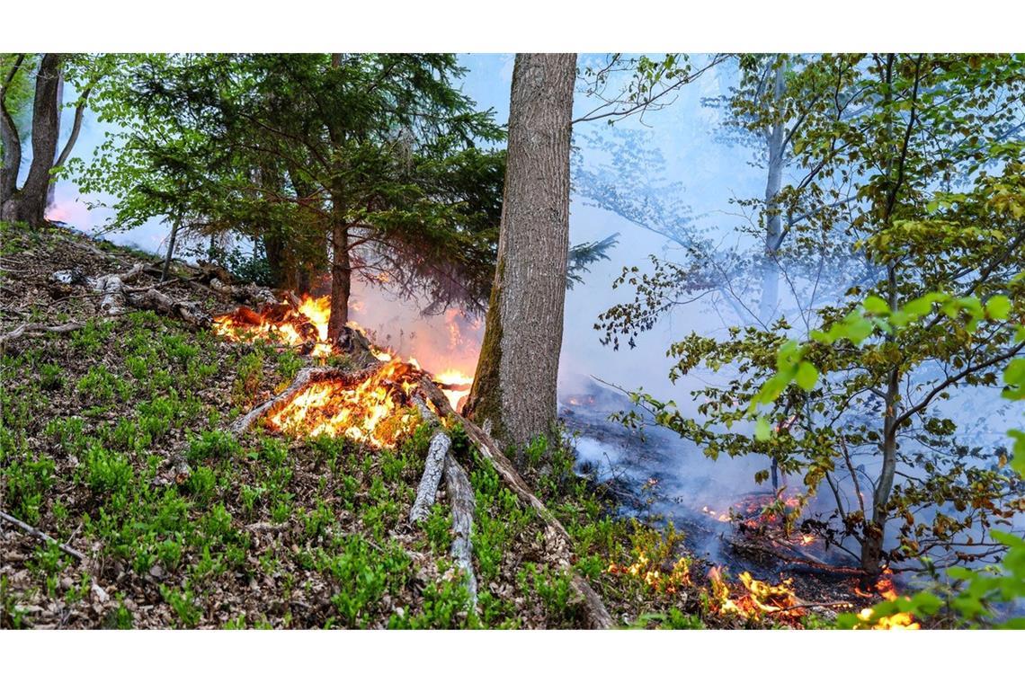In Werdohl näherten sich die Flammen einer Wohnsiedlung, konnten aber gestoppt werden.