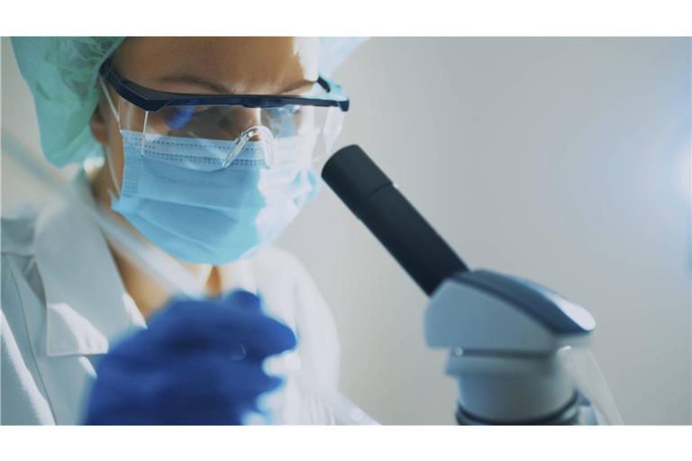 Indien hat zwei neue Infektionen mit dem gefährlichen Nipah-Virus gemeldet (Symbolbild).