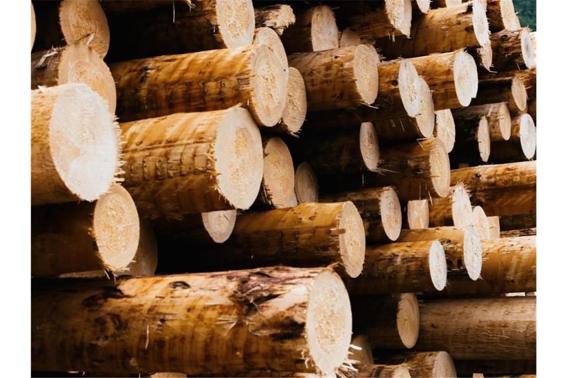 Rohstoffmangel trifft die Verbraucher Industrielle Vorprodukte wie Holz, Stahl oder Plastik sind knapp. Foto: Philipp von Ditfurth/dpa