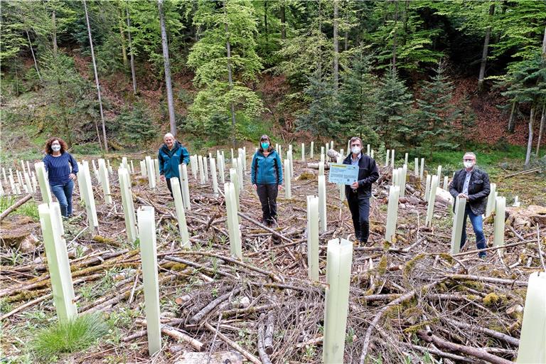 Inmitten der neu gepflanzten Bäume (von links): Inci Wiedenhöfer, Geschäftsführerin des Lea-Mittelstandspreises, Revierförster Hubert Lechleitner, Forstamtsleiterin Dagmar Wulfes, Wolfgang Hinz-Rommel (Diakonisches Werk Württemberg) und Bürgermeister Reinhold Sczuka. Foto: J. Fiedler