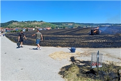 Innerhalb kürzester Zeit breitet sich das Feuer über den gesamten Acker aus und zerstört die eben erst gepressten Ballen.Foto: Matthias Nothstein