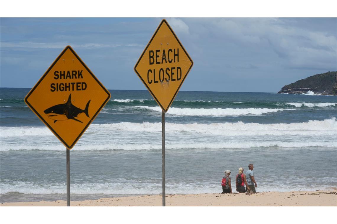Innerhalb von nur wenigen Tagen wurden aus dem australischen Bundesstaat New South Wales vier Haiangriffe gemeldet. (Symbolbild)