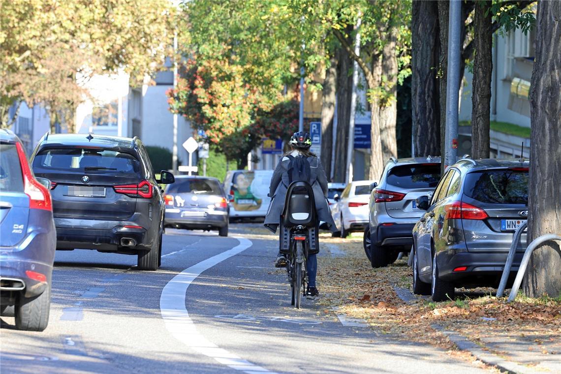 Innerorts müssen Autofahrer eineinhalb Meter Abstand zu Radfahrenden halten. Symbolfoto: Gabriel Habermann