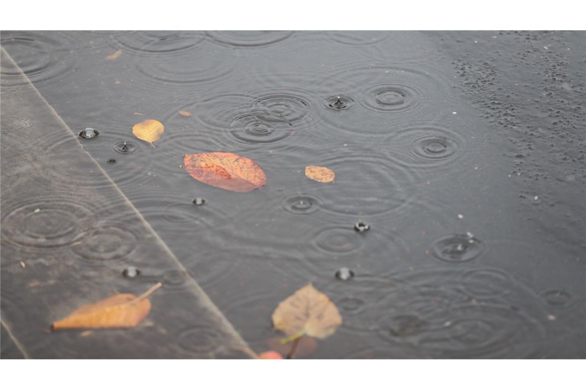 Insbesondere im Norden kam viel Regen herunter. (Archivbild)