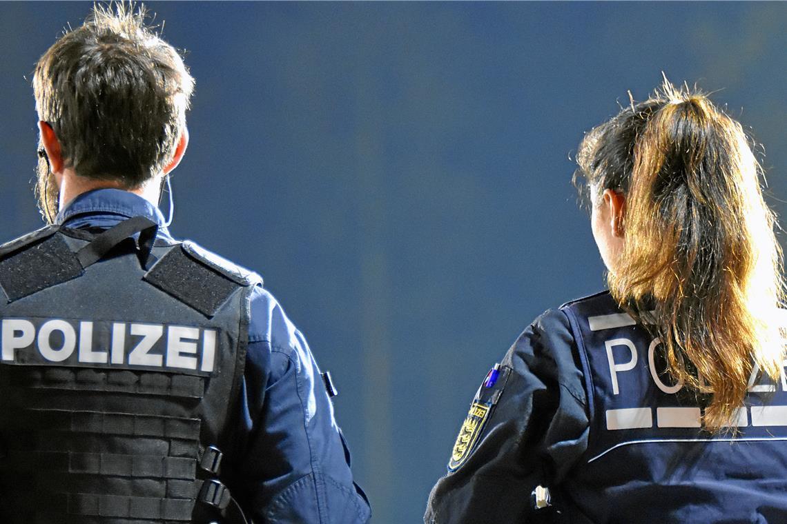 Insgesamt 180 Vergehen im Bereich Kinderpornografie und 64 Vergehen im Deliktsfeld Jugendpornografie hat die Polizei für den Rems-Murr-Kreis im vergangenen Jahr erfasst. Symbolfoto: Tobias Sellmaier