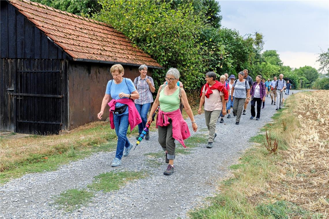 Insgesamt 5,2 Kilometer lang ist die Strecke, die Irmtraud Wiedersatz ausgesucht hat. 