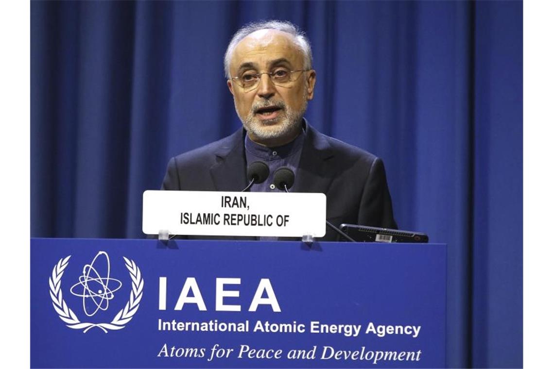 Irans Atomchef Ali Akbar Salehi: „Wir sind dabei, aus der Sackgasse rauszukommen.“. Foto: Ronald Zak/AP/dpa