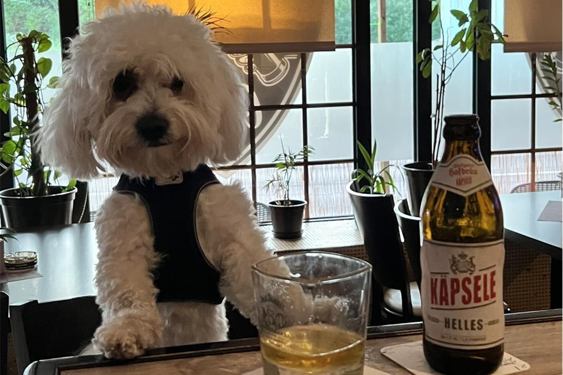 Jacky hat auf dem Backnanger Straßenfest von Freitag bis Montag durchgezecht – d...