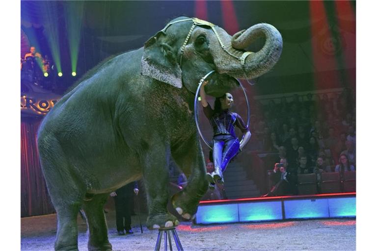 Jana Mandana Lacey-Krone mit Elefantendame Bara während eines Auftritts im Circus Krone. Foto: Ursula Düren/dpa/Archiv