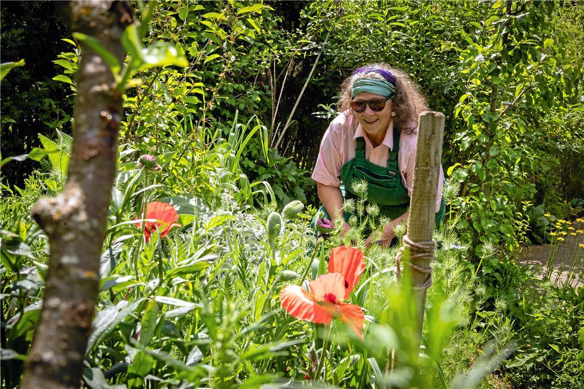 Naturnaher Garten ohne Anspruchsdenken in Backnang „Je bunter, desto besser“, sagt Margit Kraubmann über ihren Garten. Die hübschen roten Mohnblüten dienen dabei nicht nur der Ästhetik, sondern bilden auch ein wichtiges Nahrungsangebot für Insekten. Foto: Alexander Becher