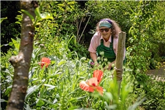 „Je bunter, desto besser“, sagt Margit Kraubmann über ihren Garten. Die hübschen roten Mohnblüten dienen dabei nicht nur der Ästhetik, sondern bilden auch ein wichtiges Nahrungsangebot für Insekten. Foto: Alexander Becher