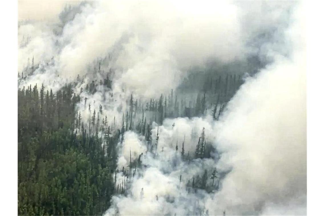 Jedes Jahr stehen in Russlands Wäldern riesige Baumbestände in Flammen. Foto: Uncredited/Russian Emergency Ministry Press Service/AP/dpa/Archivbild