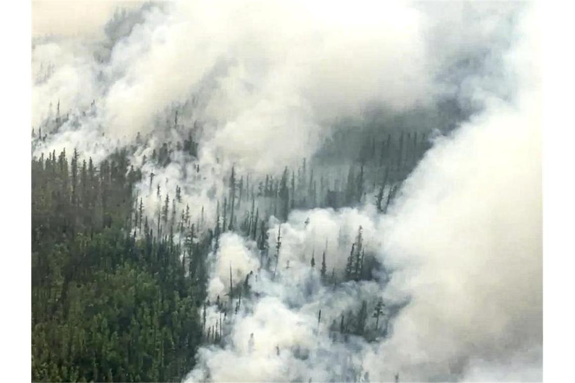 Schwere Waldbrände im Osten Russlands weiten sich aus Jedes Jahr stehen in Russlands Wäldern riesige Baumbestände in Flammen. Foto: Uncredited/Russian Emergency Ministry Press Service/AP/dpa/Archivbild