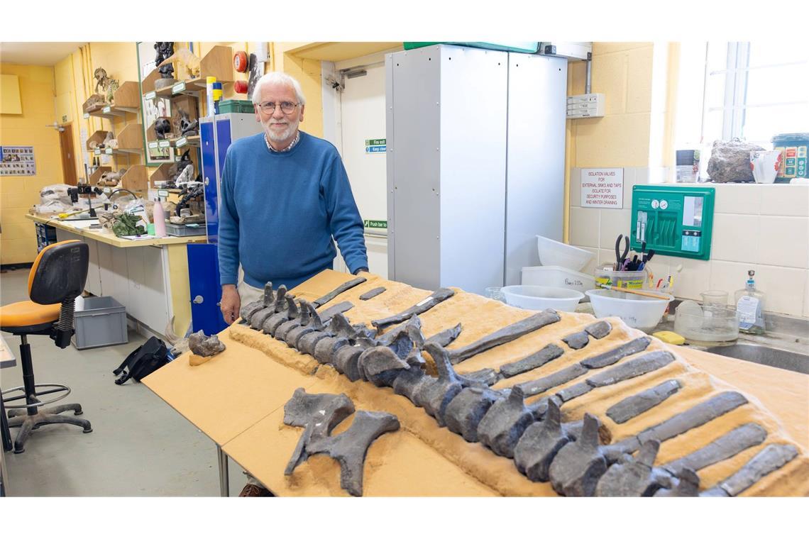 Dinosaurier mit Hautsegel entdeckt Jeremy Lockwood mit Fossilien von Istiorachis macarthurae
