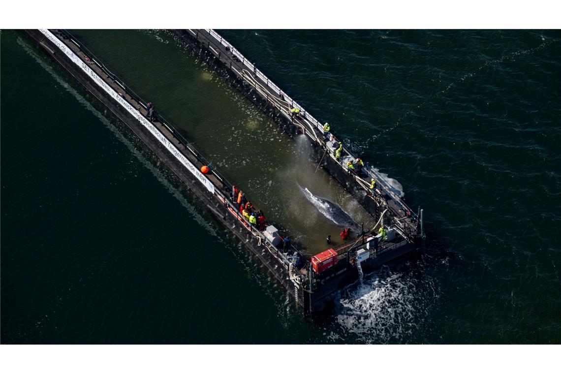 Jetzt hat sich die Barge mit dem Wal in Bewegung gesetzt.