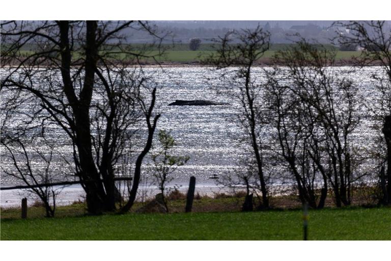 Jetzt soll auch die Wasserqualität geprüft werden.