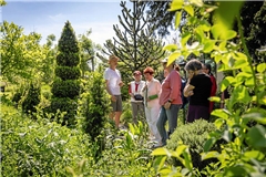 Joachim Jung (links) führt durch den Naturgarten der Familie, in dem es grünt und blüht, aber auch kreucht und fleucht. Fotos: Alexander Becher