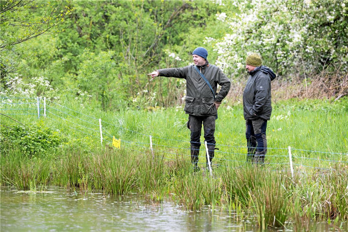 Jochen Schäufele (links) und Uwe Hiller von der Unteren Naturschutzbehörde der Kreisverwaltung stehen an einem Elektrozaun, der die Amphibien im Teich vor dem Waschbären schützen soll. Foto: Alexander Becher