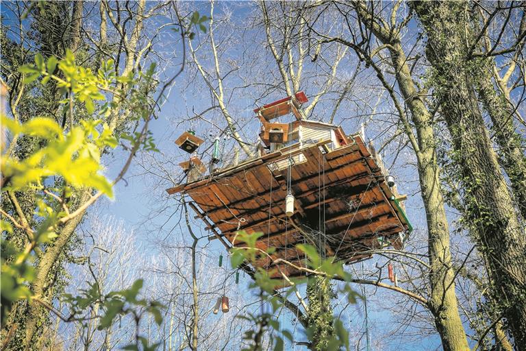 Jochen Wahl muss sein Baumhaus, das er als Futterplatz und Unterschlupf für Waldtiere errichtet hatte, wieder abbauen. Archivfoto: A. Becher