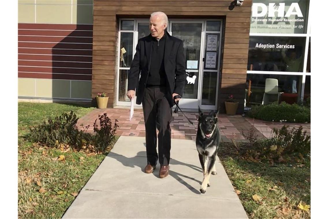 Joe Biden mit seinem Deutschen Schäferhund „Major“. Foto: Stephanie Carter/Delaware Humane Association/dpa