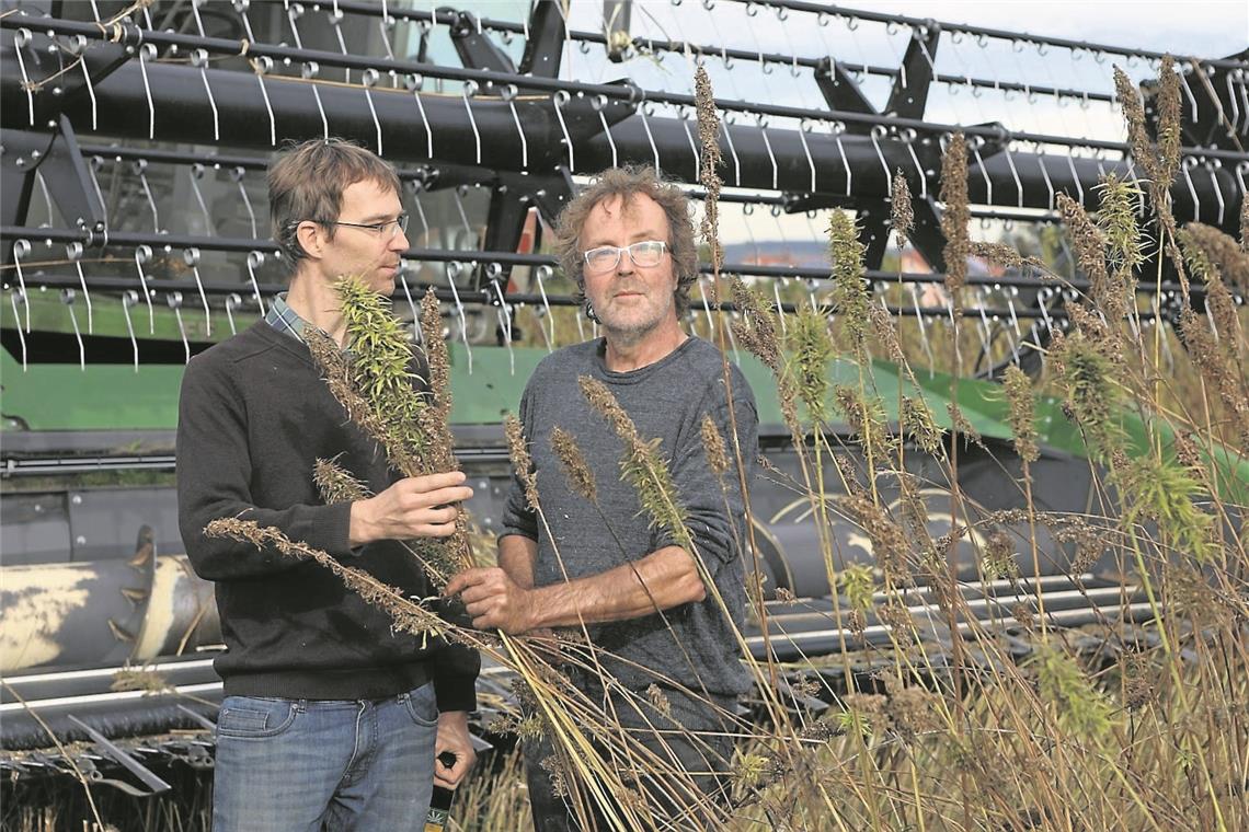Jörg Gastl (links) ist Inhaber der Ölmühle Weinstadt. Er macht aus dem Hanf von Biobauer Felix Leyde gesundes Hanföl. Foto: A. Palmizi